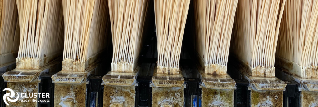 Assainissement : un guide sur le vieillissement des membranes