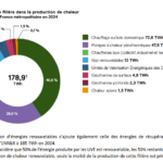 Part de chaque filière dans la production de chaleur renouvelable en France métropolitaine en 2024. Crédit SER